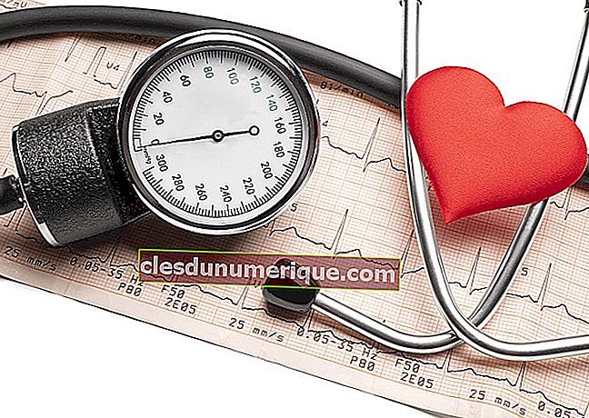 El papel del corazón en el sistema circulatorio humano