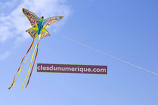 Devenez un favori pendant les vacances, apprenez à connaître la philosophie du kite