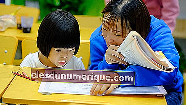 ¿Qué tipo de servicios de tutoría privada son adecuados para niños?