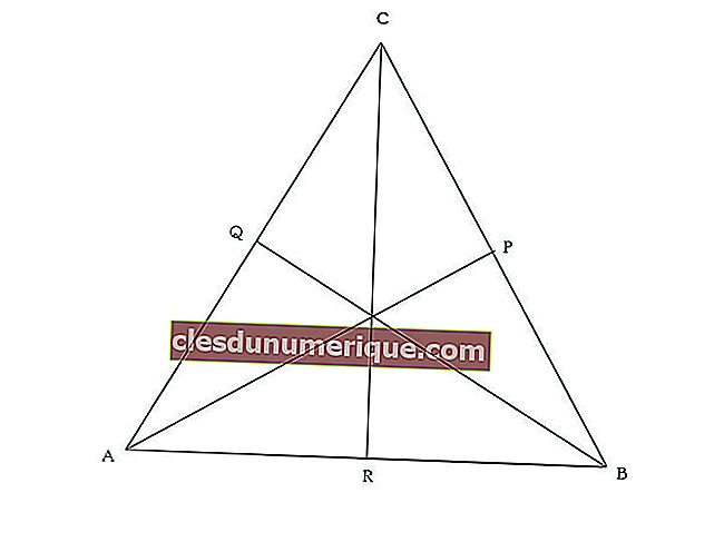 Triángulo