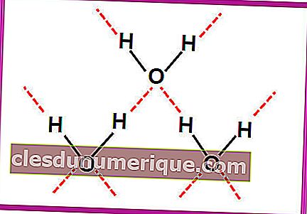 liaison hydrogène2